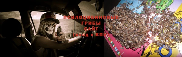 соль курить ск Новодвинск