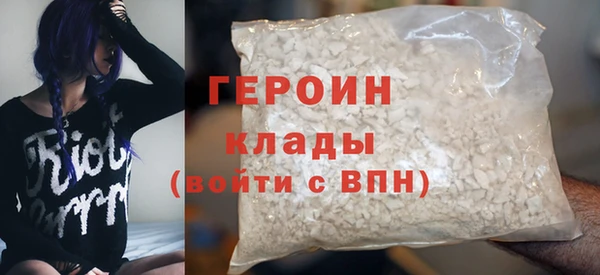 сатива Новозыбков