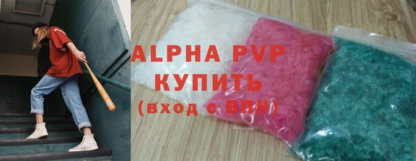 сатива Новозыбков