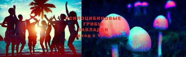 тгк Аша