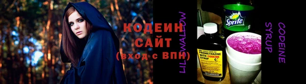 сатива Новозыбков