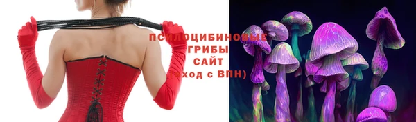 твердый Нягань