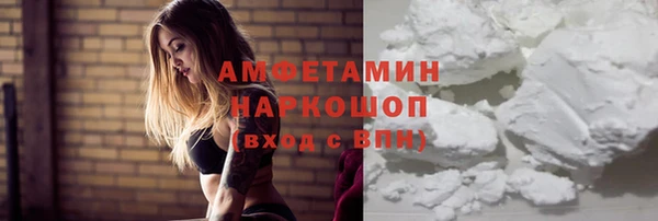сатива Новозыбков