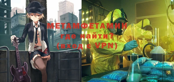 сатива Новозыбков