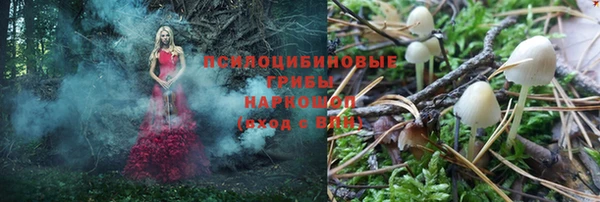 соль курить ск Новодвинск