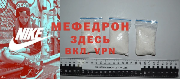 сатива Новозыбков