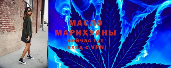 сатива Новозыбков