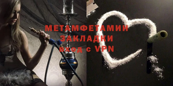 сатива Новозыбков