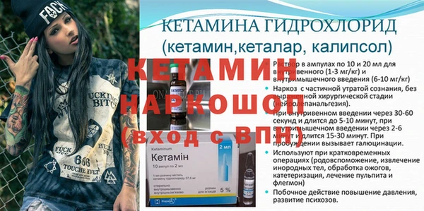 сатива Новозыбков
