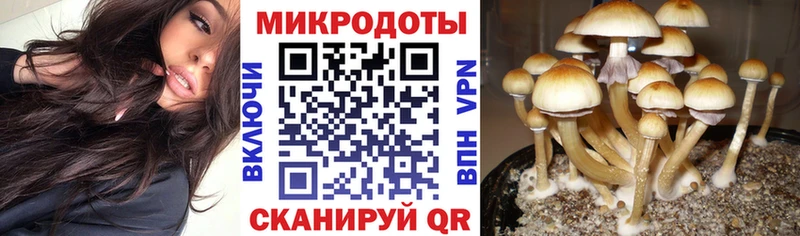 Галлюциногенные грибы мухоморы  Уссурийск 